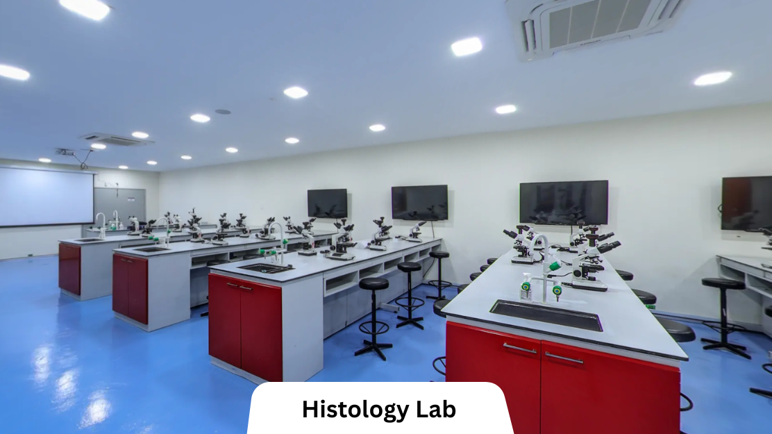 Lincoln University College feature image